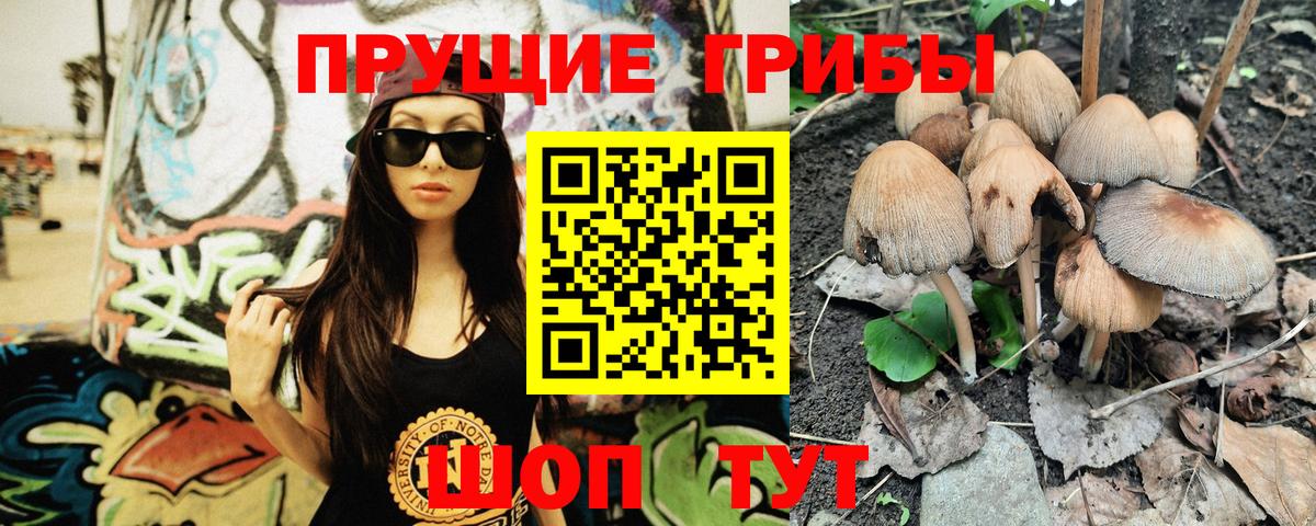 Галлюциногенные грибы прущие грибы  Псилоцибиновые грибы мицелий  Вход с VPN  Оренбург 